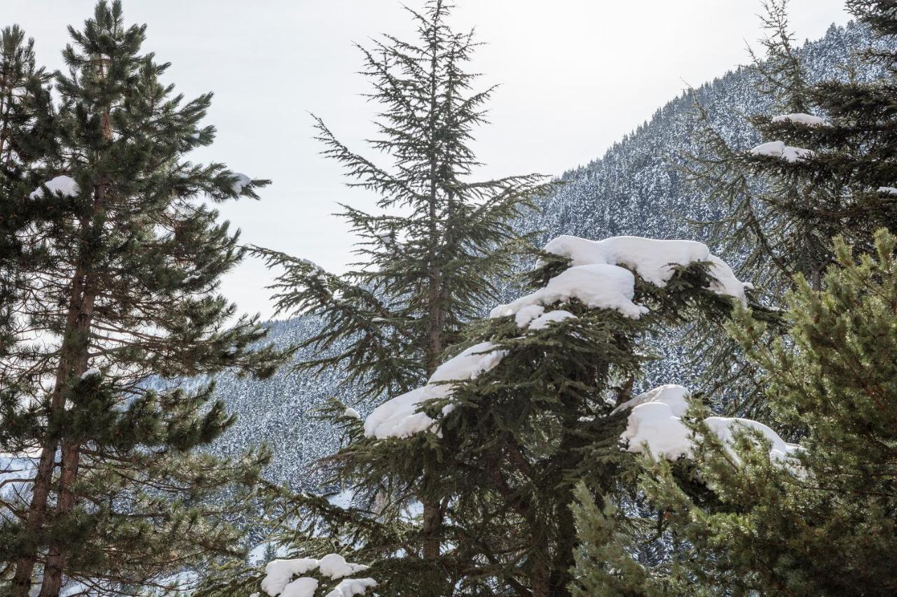 Naut AranApartamento Renovado Baqueira 1500アパートメント エクステリア 写真